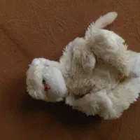 تعدادی عروسک|اسباب‌‌بازی|زنجان, |دیوار