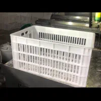 انواع سبد مخصوص حمل گوجه کارخانه. خرید سبد ضایعات