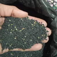 بذر پیاز زرد طلای فلات