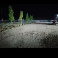 مزرعه-پروش-شتر-مرغ