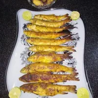 ماهی تازه صید دیروز ک 310