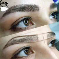 نیازمند مدل ابرو