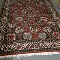 قالی دست باف ۶ متری|فرش|شهرکرد, |دیوار