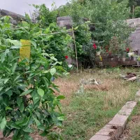 زمین-198-متری-فروش-ویا-تهاتر