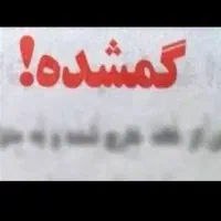 تعدادی مدارک ماشین در یک پوشه ابی رنگ گمشده