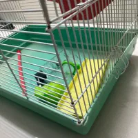 قفس|لوازم جانبی حیوانات|فردیس, شهرک وحدت|دیوار