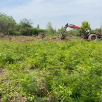 زمین تجاری و گلخانه ای در کوچه ۱۶ متری|فروش زمین و ملک کلنگی|گلوگاه بابل (گلیا), |دیوار