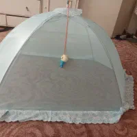 پشه بند