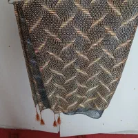 شال مجلسی