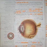 تدریس خصوصی زیست پایه و کنکوری با رتبه 72 کنکور