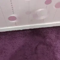 پالاز|موکت|مسجد سلیمان, |دیوار