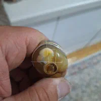 انگشتر عقیق سلیمانی|جواهرات|اسلامشهر, مطهری|دیوار