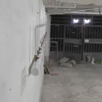 لوله کشی گاز