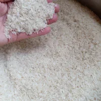 برنج هاشمی|خوردنی و آشامیدنی|رشت, توشیبا|دیوار