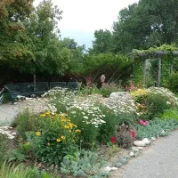 کشت باغچه های چهار فصل گلدار سبز و میوه دار