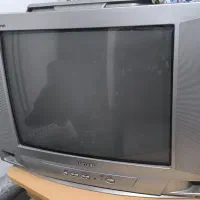 تلویزیون