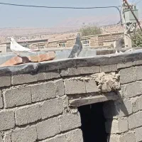 کبوتر دانع ۲۵۰|پرنده|ایوان, |دیوار