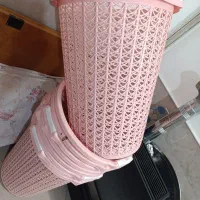 سبد