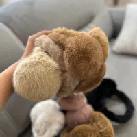هرچی که ترنده رو بیا ببین اینجا