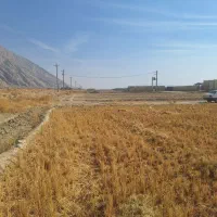 زمین کشاورزی