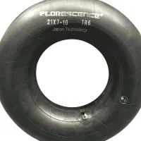 تیوب برف سواری