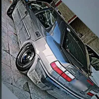 زانتیا استثنایی 87