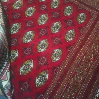 فرش|فرش|آزادشهر, |دیوار