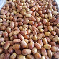 خرمای زاهدی یا قصبک