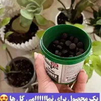 با پک مکمل رشدگلهات تاعید برگ وگل بده وجون میگیره