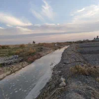 فروش ۴ هزار متر زمین کشاورزی ابی فقط ۴۵۰ ملیون|فروش دفتر صنعتی، کشاورزی، تجاری|رامهرمز, |دیوار