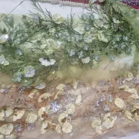 پارچه لباس مجلسی تور|لباس|شیراز, دکتر حسابی|دیوار