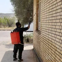 سمپاشی و موریانه زدایی ساختمان ها و ادارات