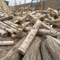 چوب ،تیرچه،