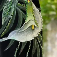 دوره های طلایی طراحی لباس|خدمات آموزشی|کرمان, |دیوار