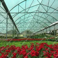 شید گلخانه‌ای/توری گلخانه‌ای/در ابعاد مختلف