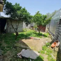 ویلا ۳۵۰متری سند دار جاده بابل|فروش خانه و ویلا|زرگرشهر, |دیوار