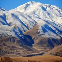 مربی اختلالات یادگیری