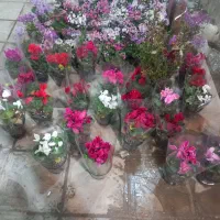 چهارمحال بختیاری