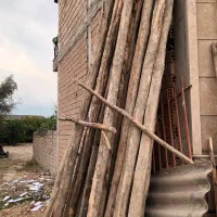 چوب ساختمانی و باغ|مصالح و تجهیزات ساختمان|کردکوی, |دیوار