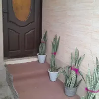 اجاره روزانه/هفتگی/ماهانه آپار۵۰ متری در حومه رشت