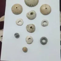 اصل تضمینی|جواهرات|پرند, فاز ۶|دیوار