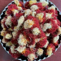 زعفران اصیل قائنات + خوش طعم خوش رنگ+ تضمین کیفیت|خوردنی و آشامیدنی|شیراز, گلدشت معالی‌آباد|دیوار