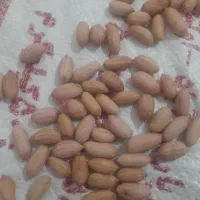 فروشی بادام زمینی برشته شده درجه یک|خوردنی و آشامیدنی|پاکدشت, حصار امیر|دیوار