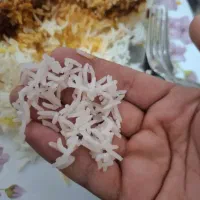 برنج طارم هاشمی معطرفریدونکنار درجه 1|خوردنی و آشامیدنی|بابلسر, |دیوار