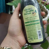 شامپو کافئین جینسنگ قطع ریزش مو|آرایشی، بهداشتی، درمانی|آبادان, |دیوار