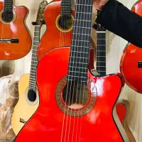 گیتار|گیتار، بیس، امپلیفایر|اراک, |دیوار