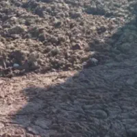 فروش کوده حیوانی کلی وجزعی