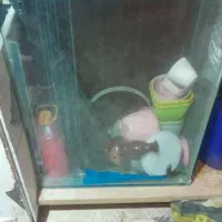 اکواریوم با میز ولوازم کامل