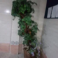 درخت مصنوعی تزیینی|گل مصنوعی|تهران, هروی|دیوار