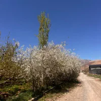 ۲۲۸متر زمین دیوارکشی سند شهرکی جابان دماوند.اقساطی|فروش زمین و ملک کلنگی|دماوند, دماوند|دیوار